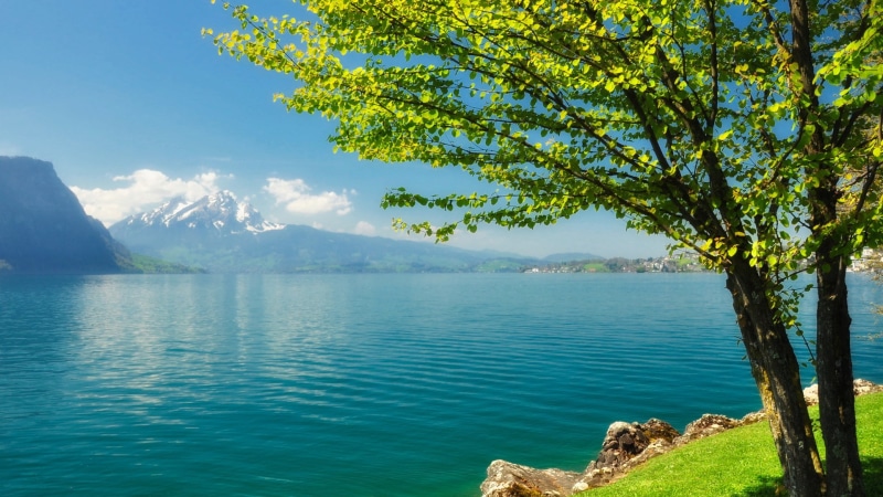 turquoise colored, idyllic, no people, sunlight, day, scenics - nature, plant, sea, sky, tree, for desktop nature scenes beautiful scenery 1920x1080, water