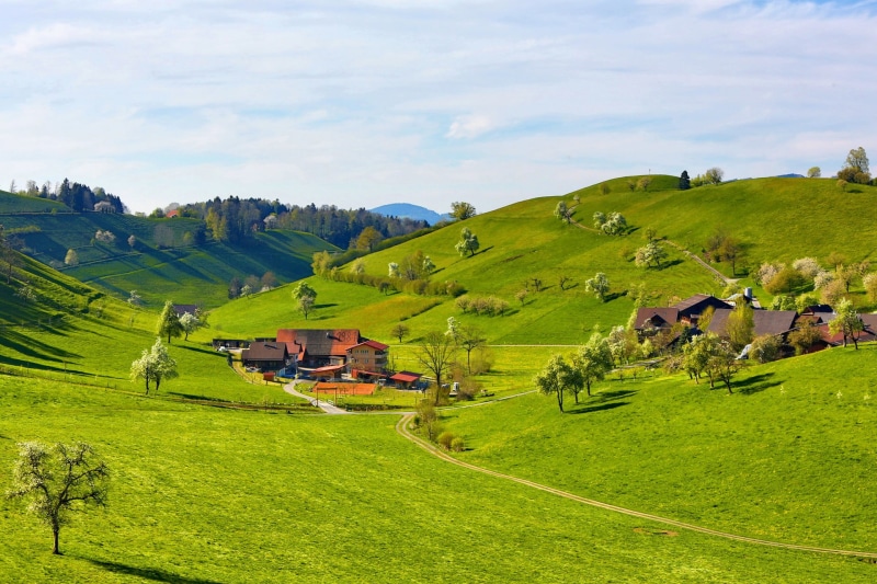 rural scene, outdoors, trees, environment, tranquil scene, architecture, building exterior, day, land, green, scenics - nature, rolling landscape, field