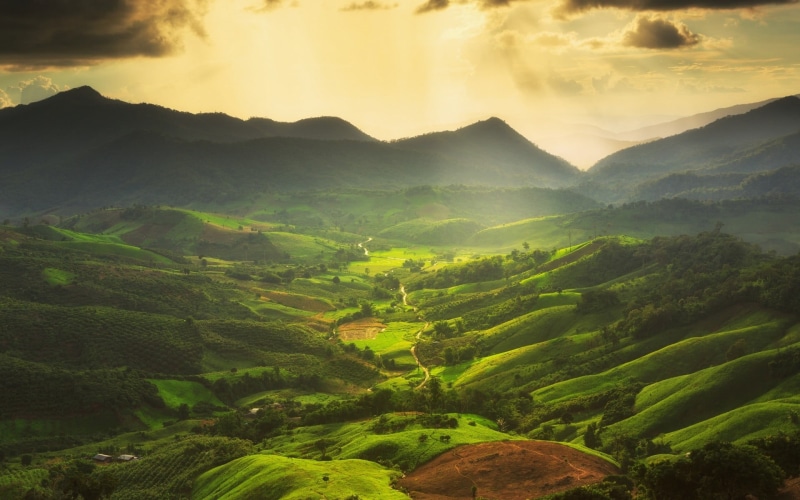 non-urban scene, sky, farm, no people, nature, tranquility, outdoors, rolling landscape, green color, mountains, field, tranquil scene, tea crop, growth