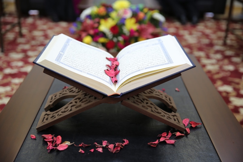 religion, no people, creativity, floral pattern, red, open, indoors, nature, flowering plant, pink color, still life, 5K, heart shape, muslim, beauty in nature