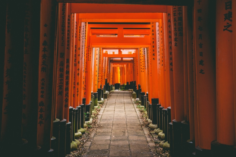 orange, gate, shadow, pathway, red, japan, travel, zen, structure, mount inari, fushimi, shrine, concrete, 5K, belief, tourism, walls, kansai, frame, light