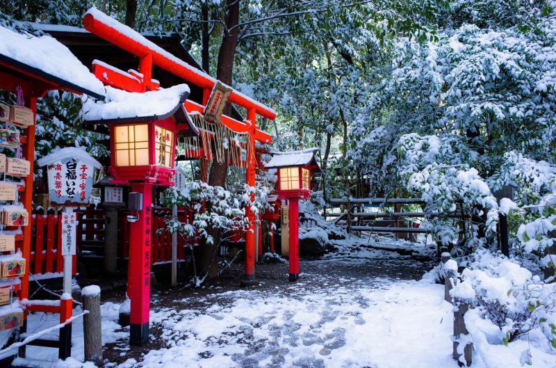 nature, temple, Torii gate, spirituality, the gates, cold - Temperature, plant, Nonomiya Shrine, Japan, frost, Temple Nonomiya, day, winter, season, cold temperature