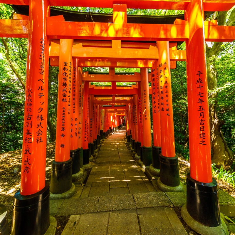walkway, footpath, architectural column, travel destinations, built structure, shrine, diminishing perspective, kyoto, building, gate, worship, orange