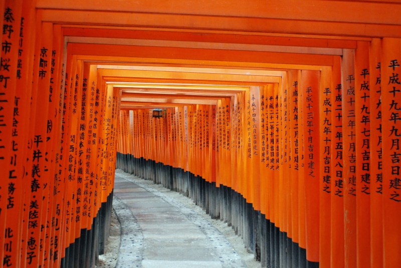 temple, built structure, shrine, black, building, orange, the way forward, place of worship, in a row, 4K, non-western script, Kyoto, Fushimi Inari, religion