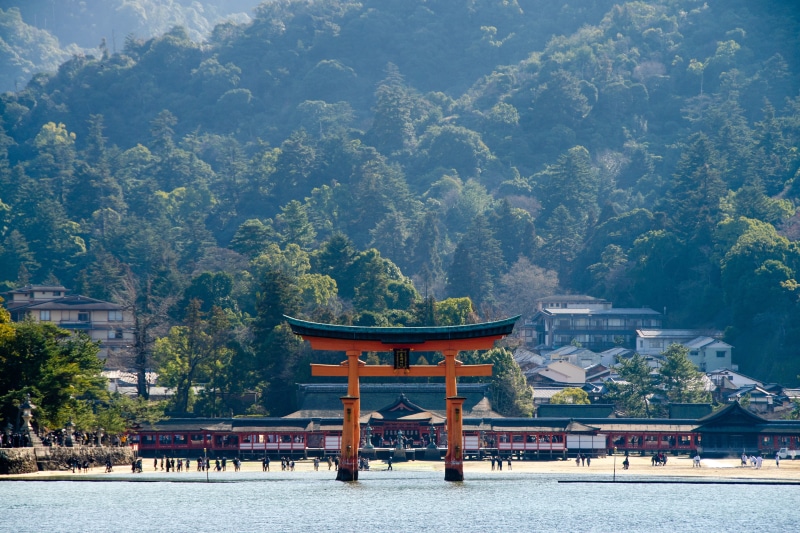 torii, tranquility, tree, religion, tourism, japan, historical, plant, outdoors, shintoism, belief, o-torii gate, miyajima, travel, famous, traditional