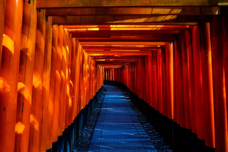 4K, architecture, religion, architectural column, direction, built structure, torii, belief, shrine, lighting equipment, footpath, place of worship, japan