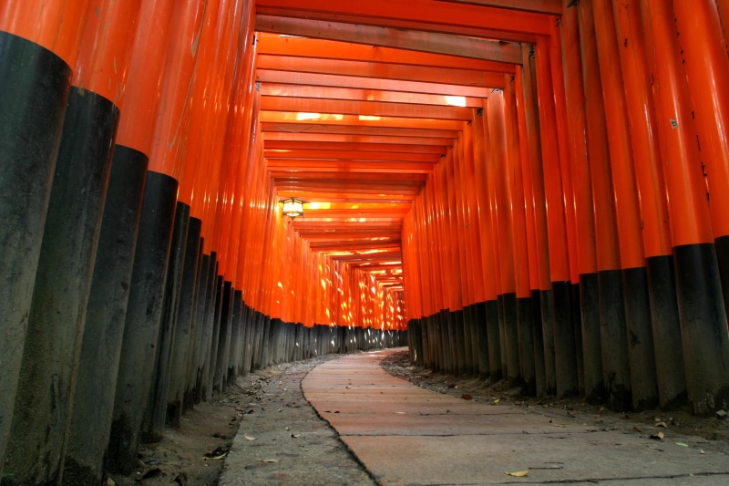 direction, orange color, Japan, building, footpath, belief, religion, indoors, place of worship, black, diminishing perspective, ceiling, in a row, no people