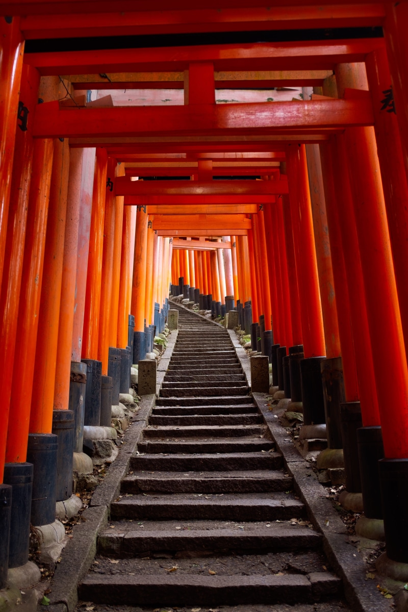 4K, place of worship, the way forward, japan, fushimi inari taisha, direction, stairs, orange color, kyōto-shi, belief, destination, red, architectural column