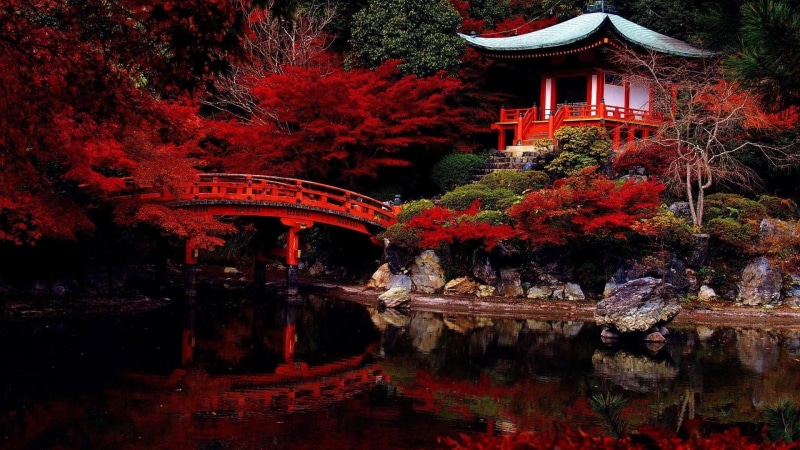 daigo-ji temple, temple, daigoji temple, japan, daigo ji temple, japanese, red leaves, 1080P, japanese garden, kyoto