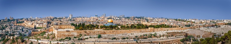 history, cityscape, plant, holy sites, city, building, tree, building exterior, aerial view, nature, jerusalem, architecture, sky, travel destinations
