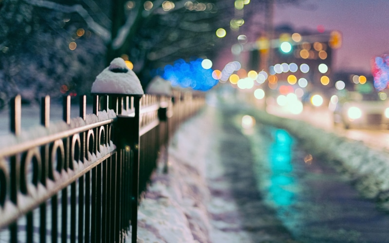 defocused, full screen, urban Scene, bird, water, 1080P, footpath, HD, metal, focus on foreground, black, trees, the city, town, blur, street