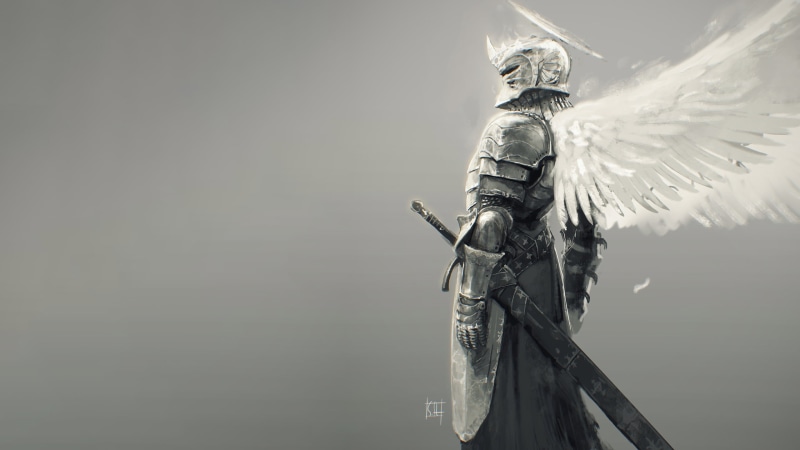 one animal, vertebrate, angel wings, person, war, bird, fantasy, day, futuristic, imagination, suit of Armor, knight - Person, evil, sword, macro, animals in the wild