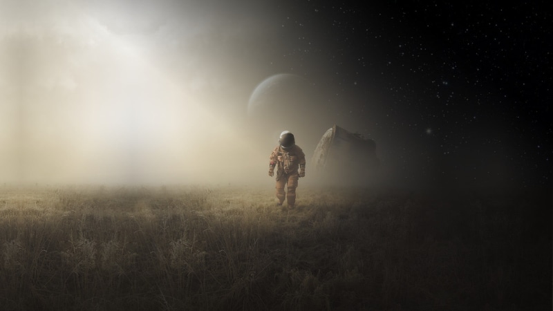 field, full length, outdoors, planet, beauty in nature, Michał Klimczak, grass, fog, star - space, brown, walking, plant, man, standing, land