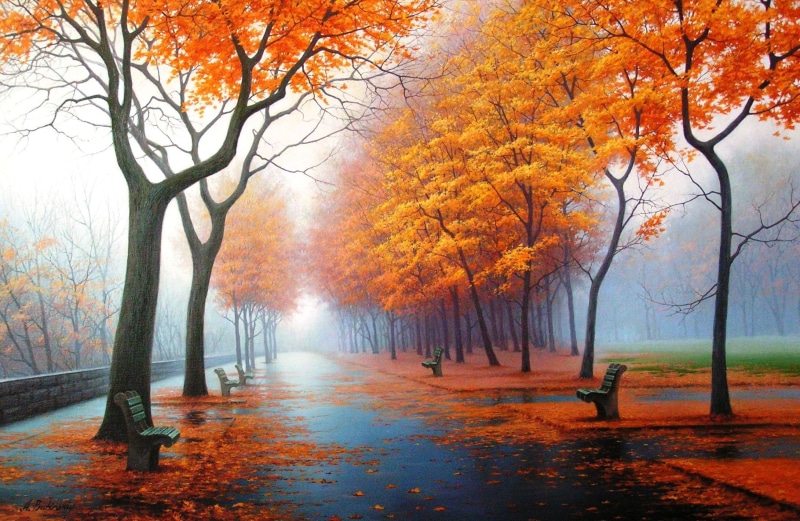 yellow, footpath, scenics - nature, woodland, orange, alley, tree, trees, tranquility, autumn, tree trunk, bright, fog, treelined, park - Man Made Space