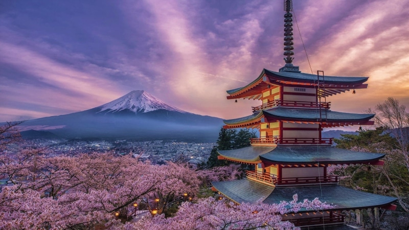 Cherry Blossom, 1080P, Religious, Mount Fuji, Pagoda, Spring, Japan, Sakura