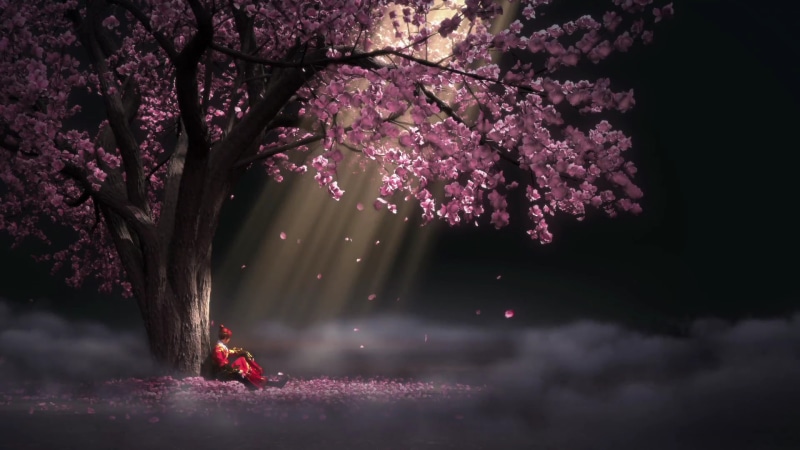 real people, tranquility, nature, beauty in nature, pink color, 1080P, SNJYW, anime, day, springtime, 3D, plant, Chinese animation, freshness, blossom