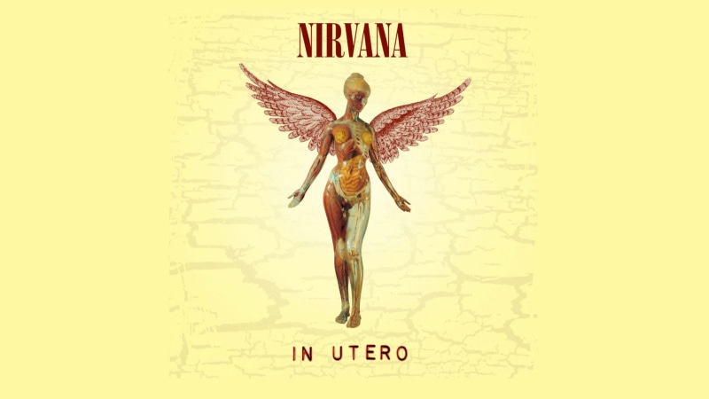 4K, representation, non-western script, still life, music, studio shot, no people, bird, text, number, wall - building feature, indoors, album covers