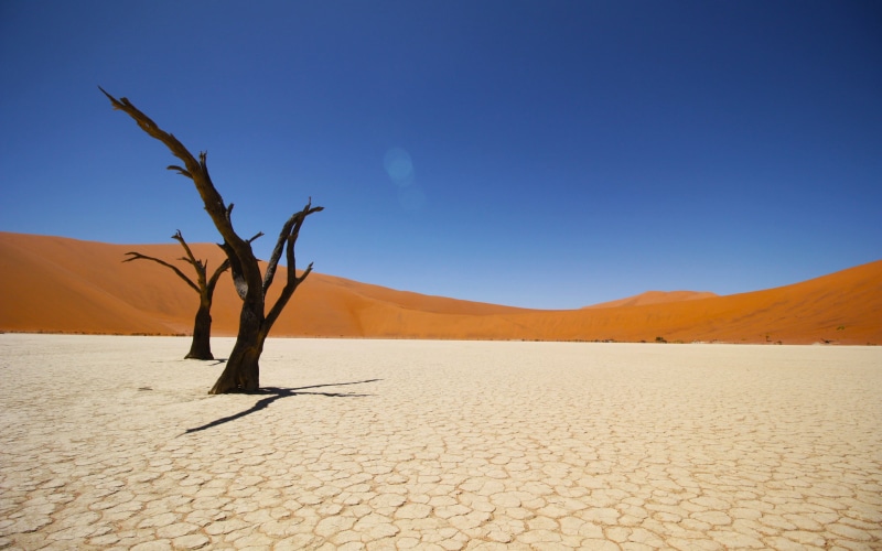 outdoors, Namib, Desert, tranquility, landscape, sky, no people, dry, climate, Coastal, sand, k, non-urban scene, remote, land, tree, scenics - nature