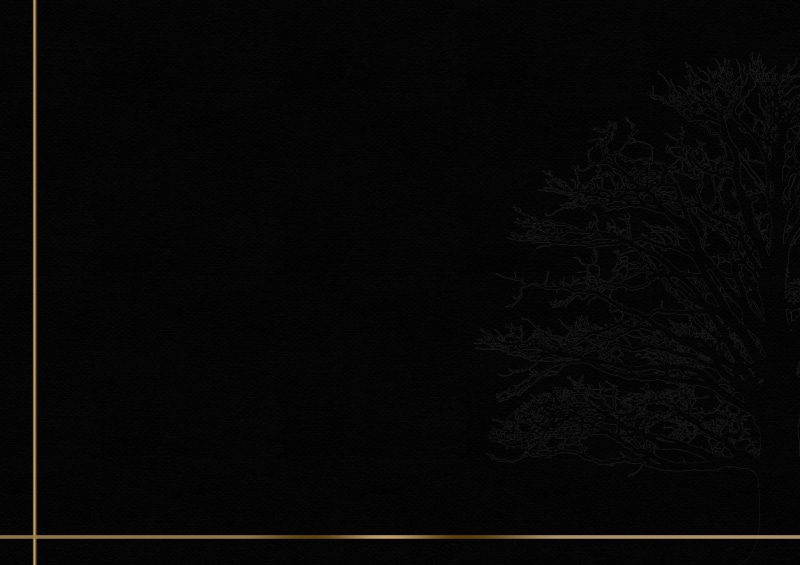 black background, macro, close-up, map, still life, 2K, die, emotion, gold, aesthetic, nature, condolences, studio shot, dead, black color, website, sympathy