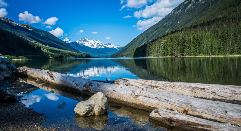 Log, British Columbia, Canada, Dead Tree, banff National Park, mountain, lake, NIKON, Shadow  Mountains, FX, calm, Road Trip, BC, Ted, Cropped, Pebbles