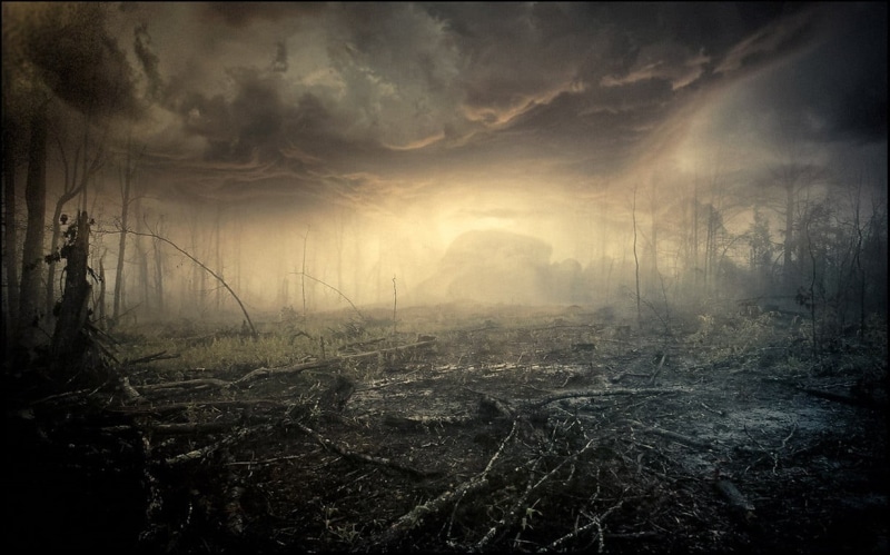 land, cloud - sky, no people, landscape, tranquility, scenics - nature, ominous, mist, sunlight, fire, forest, non-urban scene, 480P, dead trees, bunt