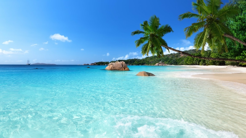 beach, bay, sky, seychelles, coast, sandy beach, azure, chevalier bay, anse lazio, palm, 4K, ocean, tropical, water, shore, summer, sea, island, tropics