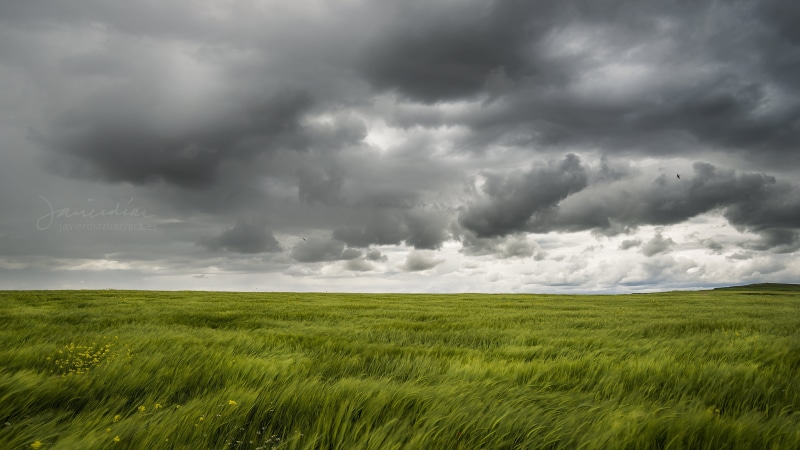 landscape, nature, weather, grass field, gray, clouds, trigo, sky, lluvia, backgrounds, cloudscape, es, green grass, storm, 4K, cloud - Sky, scenics, rural Scene
