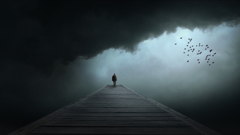 sad, fog, cloud - Sky, digital art, flock of birds, birds, vertebrate, brown, animals in the wild, heaven, spooky, artwork, wildlife, sea, black