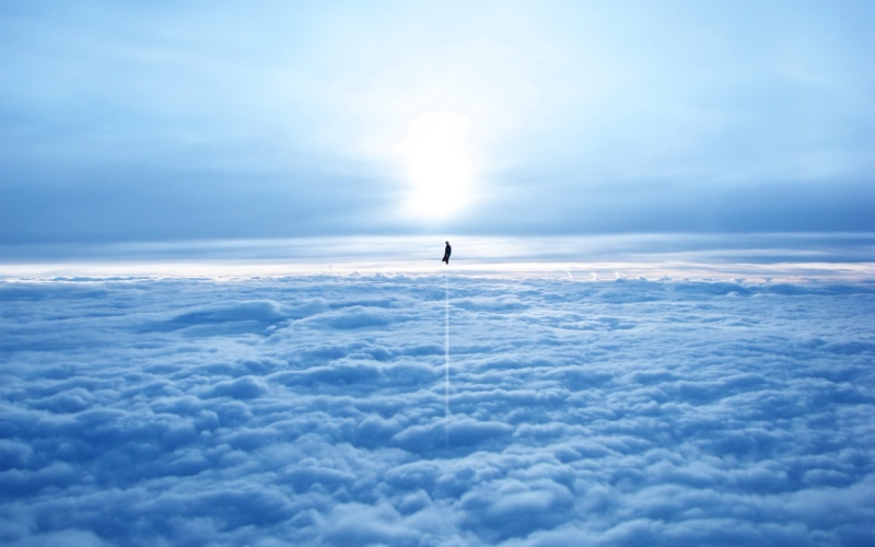 bird, idyllic, animals in the wild, DC Comics, Man of Steel, day, one animal, animal, vertebrate, scenics - nature, sky, outdoors, cloud - sky, no people