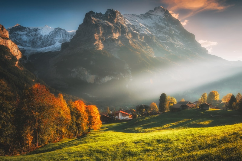 Swiss Alps, field, sunlight, trees, 720P, Grindelwald, fall, sun rays, morning, snowy peak, grass, landscape, forest, village, Switzerland, sky, mountains