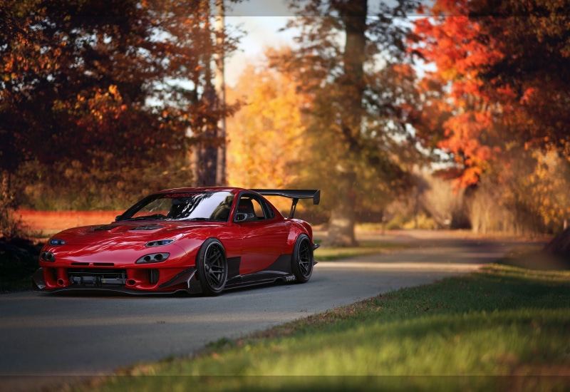 motor vehicle, speed, nature, red, 2K, sport, luxury, day, front angle view, orange color, no people, car, autumn, JDM, growth, plant, tree, land vehicle