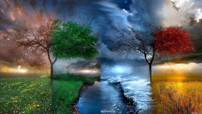 dark, digital, park - Man Made Space, spooky, land, green Color, no people, grass, 1080P, lake, scenics - nature, season, motion, nature, blue