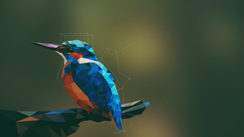 art and craft, pattern, nature, 1080P, birds, vector, kingfisher, colors, simple background, abstract, copy space, day, animals, digital art, painting