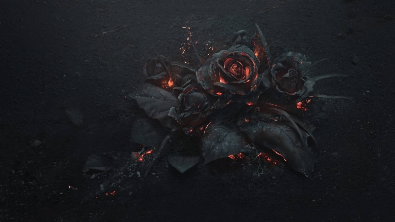 flowers, black, land, close-up, dark, burning, campfire, backgrounds, fire - Natural Phenomenon, flame, abstract, leaf, season, rose, field, no people
