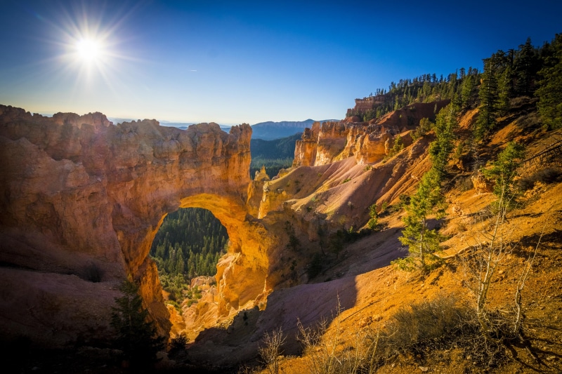 outdoors, uSA, scenics, Natural Bridge, side, outdoor, valley, forest, erosion, morning  sun, daytime, landscape, sandstone, cliff, utah, light, rock  formation