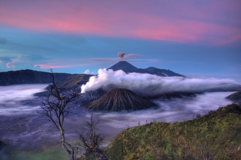 volcano  crater, view, volcano, 2K, leafless, landscape, mountain, nature, erupting, Gunung Bromo, tree, HDR, java, indonesia