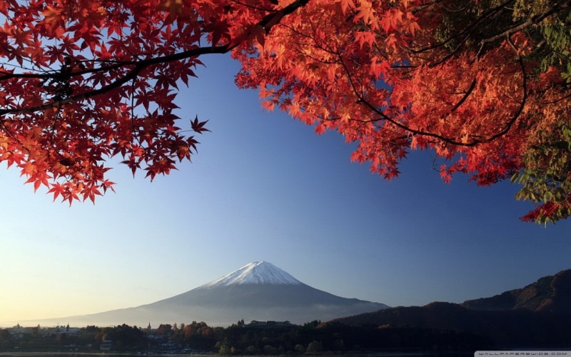 forest, Japan, snowcapped mountain, lake, mount, nature, famous Place, landscape, snow, asia, travel destinations, no people, winter, travel, fuji, tree