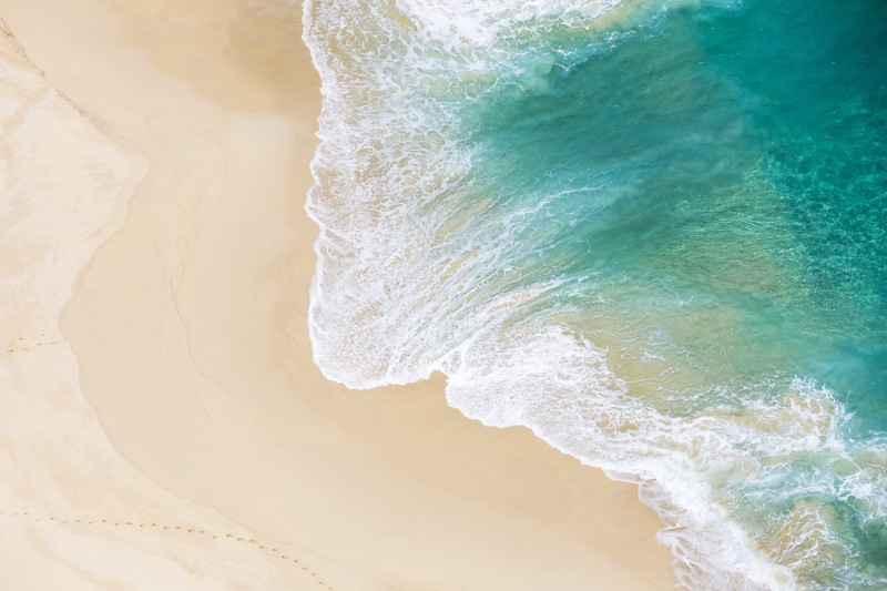 water, bird, seawaves, sand, solid, seashore, motion, aquatic sport, sea shore, tropical landscape, surfing, outdoors, pattern, 5K, s, from above