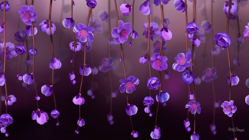 flowering plant, blossom, pattern, freshness, beauty in nature, no people, flowers, abstract, plant, petaled, full frame, violet, growth, vulnerability