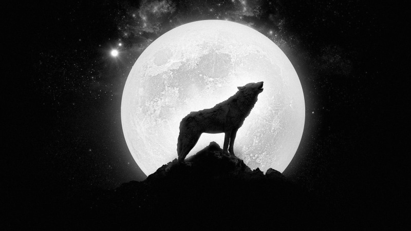star, full, howling, silhouette, wolf, 1920x1080, 1080P, digital art, moon, cliff
