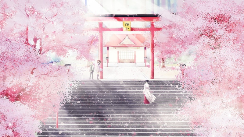 building exterior, pink color, plant, Noragami, pink, low angle view, celebration, building, staircase, architecture, cherry, shrine, steps and staircases
