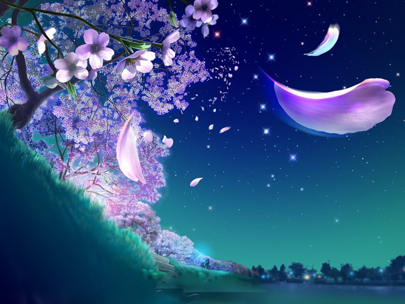 hd, blossom, flowers, 720P, cherry, petals, tree, fantasy