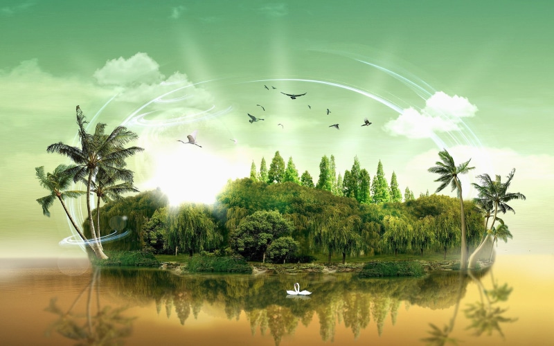 palm tree, green, beauty in nature, animal wildlife, digital composite, water, artwork, animal, 2K, outdoors, animals in the wild, cloud - sky