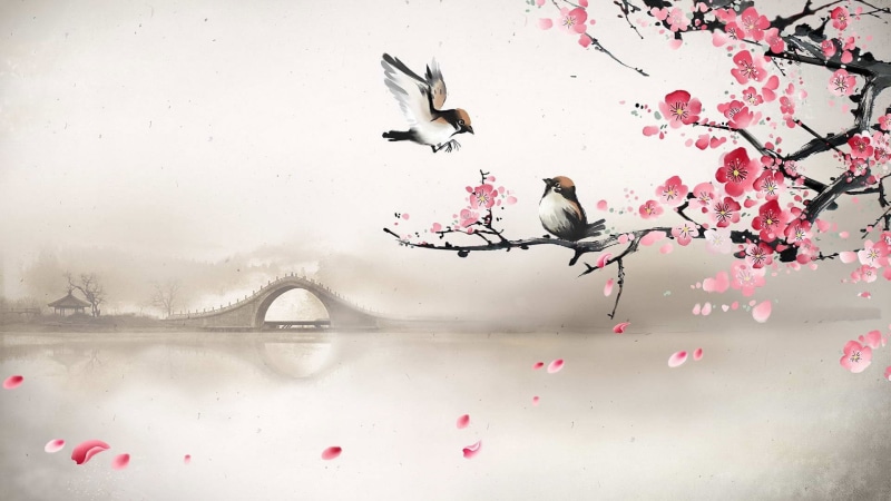 birds, digital/artwork, blossom, cherry, drawing, flowers, 1080P, hd