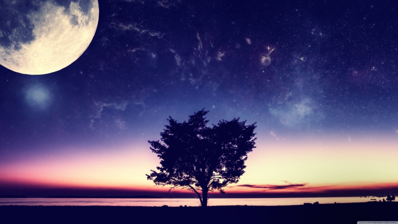 backgrounds, nature, astrology, scenics, beauty In Nature, tranquil scene, plant, full Moon, galaxy, outdoors, sea, dusk, painting, full, Moon, horizon