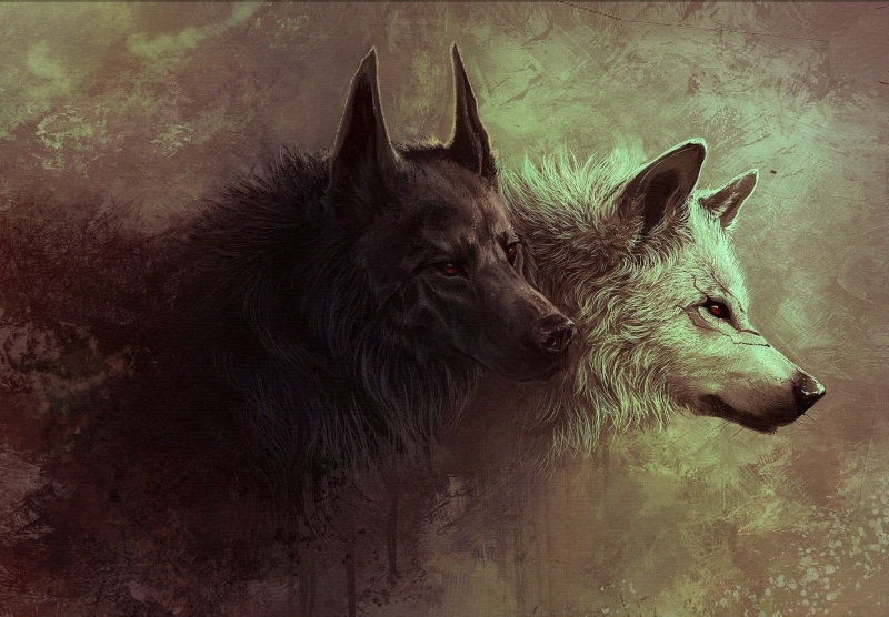 looking away, outdoors, fantasy art, artwork, domestic animals, animal head, animal hair, livestock, two, pets, white, animal body part, close-up, animals