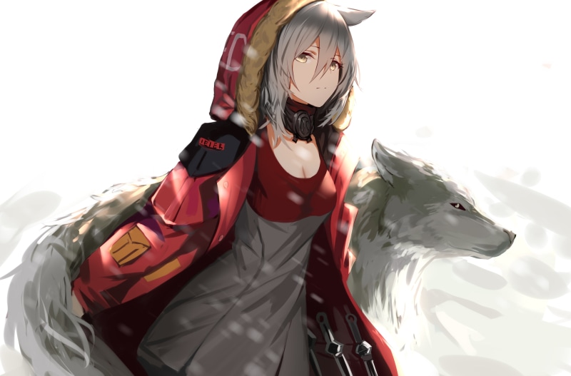 digital art, Arknights, 4K, wolf, artwork, Yasuri, anime, anime girls