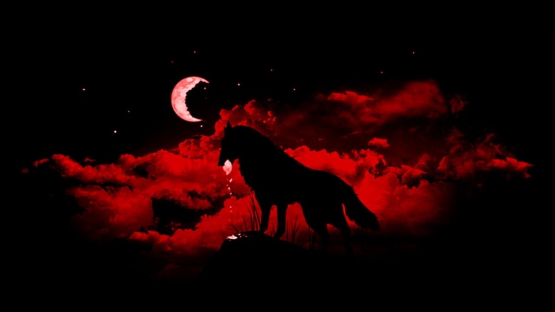 sky, animal wildlife, 1080P, vertebrate, red, Moon, animal, animal representation, cloud - sky, dark, wolf, domestic animals, pets, no people, black background