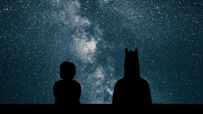 night sky, starry night, 1080P, TV, Bojack Horseman