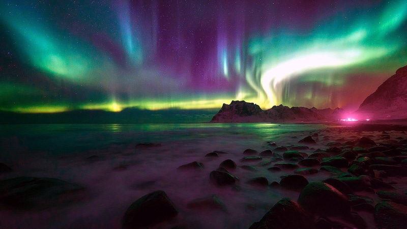 norway, lofoten, starry night, night, northern lights, green sky, aurora borealis, 4K